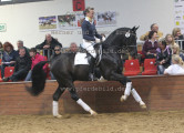 Foto-Archiv