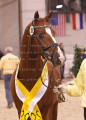 Foto-Archiv