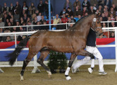 Foto-Archiv