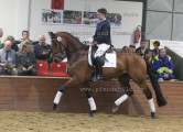 Foto-Archiv