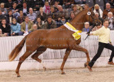 Foto-Archiv