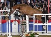 Foto-Archiv