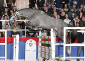 Foto-Archiv