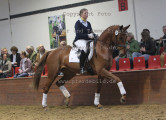Foto-Archiv