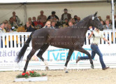 Foto-Archiv
