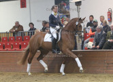Foto-Archiv