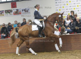 Foto-Archiv