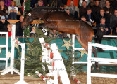Foto-Archiv