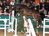 Foto-Archiv