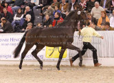 Foto-Archiv