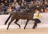 Foto-Archiv