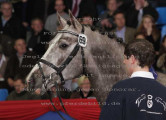 Foto-Archiv