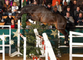 Foto-Archiv