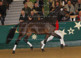 Foto-Archiv
