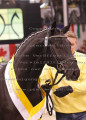 Foto-Archiv