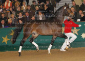 Foto-Archiv