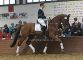 Foto-Archiv