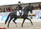 Foto-Archiv