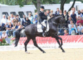 Foto-Archiv