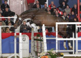 Foto-Archiv