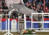 Foto-Archiv