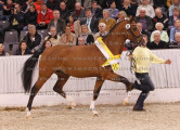 Foto-Archiv