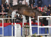 Foto-Archiv