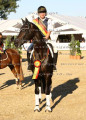 Foto-Archiv