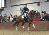 Foto-Archiv