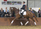 Foto-Archiv