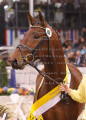 Foto-Archiv