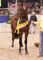 Foto-Archiv