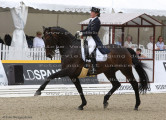 Foto-Archiv