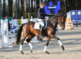 Foto-Archiv