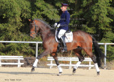Foto-Archiv