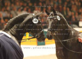 Foto-Archiv
