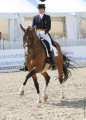 Foto-Archiv