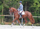 Foto-Archiv