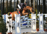 Foto-Archiv