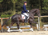 Foto-Archiv