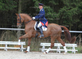 Foto-Archiv
