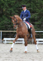 Foto-Archiv