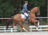 Foto-Archiv