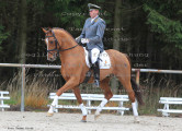 Foto-Archiv
