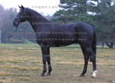 Foto-Archiv