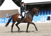 Foto-Archiv