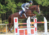 Foto-Archiv