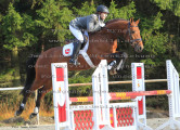 Foto-Archiv