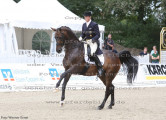 Foto-Archiv