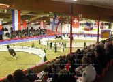 Foto-Archiv